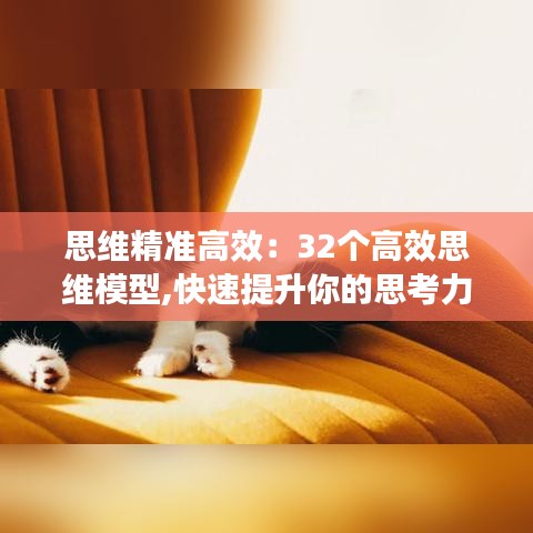 思维精准高效：32个高效思维模型,快速提升你的思考力 