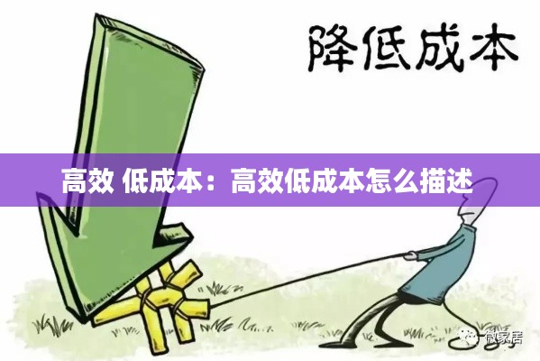 高效 低成本：高效低成本怎么描述 