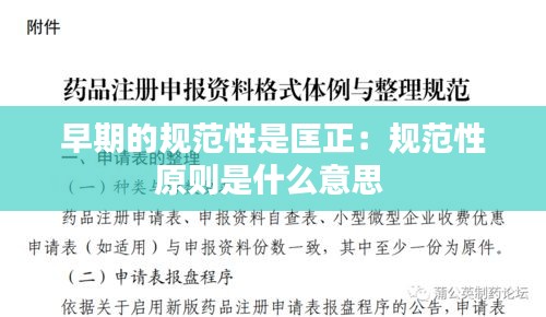 早期的规范性是匡正：规范性原则是什么意思 