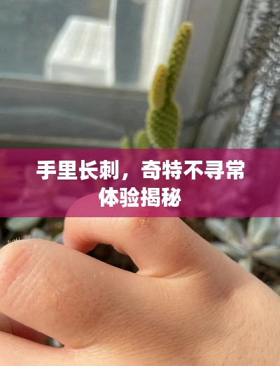 荡然无存 第3页