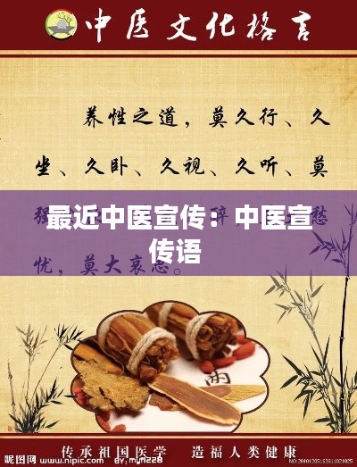 最近中医宣传：中医宣传语 