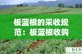 志在四方 第2页