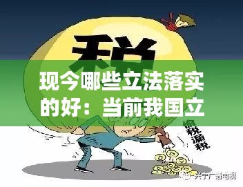 现今哪些立法落实的好：当前我国立法领域面临哪些突出问题? 