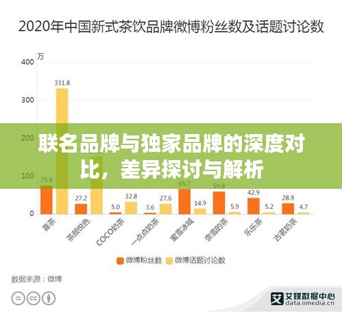 联名品牌与独家品牌的深度对比，差异探讨与解析