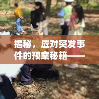 揭秘，应对突发事件的预案秘籍——紧急应对篇