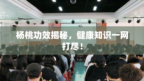 大事夸张 第2页
