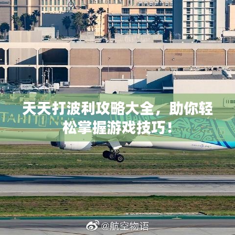 天天打波利攻略大全，助你轻松掌握游戏技巧！