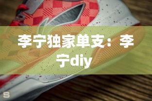 李宁独家单支：李宁diy 