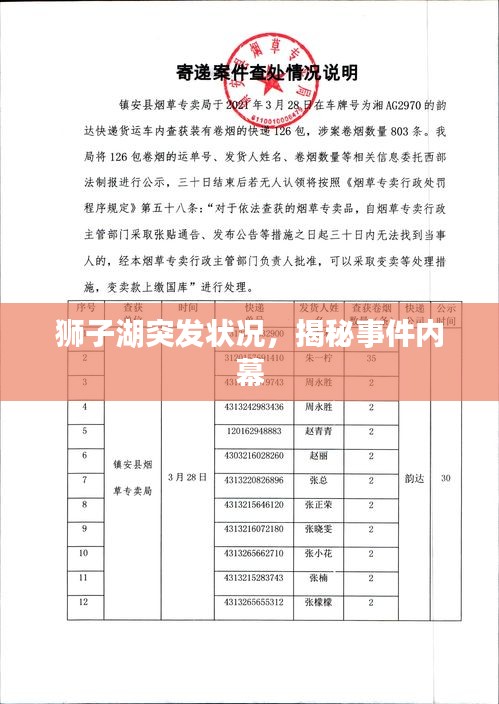 狮子湖突发状况，揭秘事件内幕