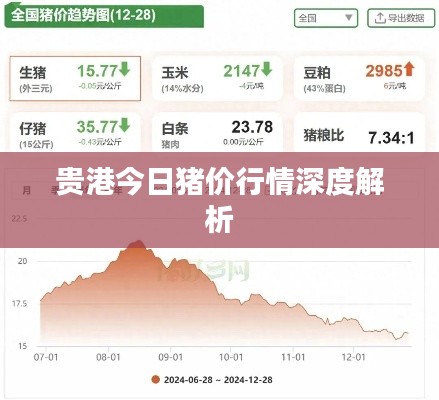 贵港今日猪价行情深度解析