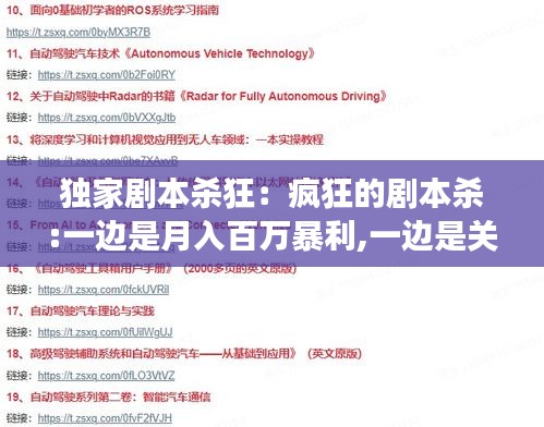 独家剧本杀狂：疯狂的剧本杀:一边是月入百万暴利,一边是关店血本无归 