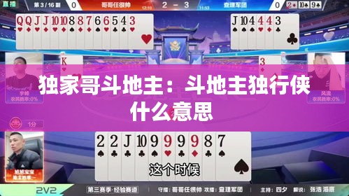 独家哥斗地主：斗地主独行侠什么意思 