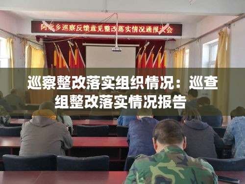 巡察整改落实组织情况：巡查组整改落实情况报告 