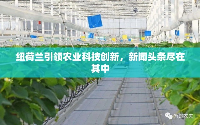 纽荷兰引领农业科技创新，新闻头条尽在其中