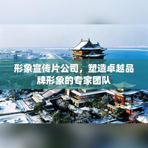 形象宣传片公司，塑造卓越品牌形象的专家团队