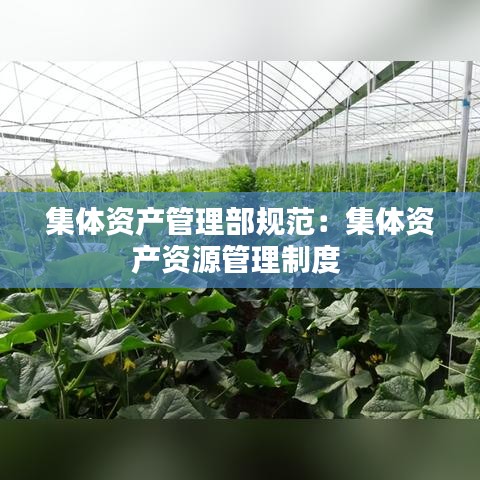 集体资产管理部规范：集体资产资源管理制度 