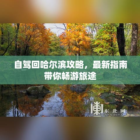 自驾回哈尔滨攻略，最新指南带你畅游旅途