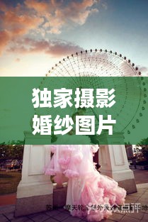 独家摄影婚纱图片欣赏：独家照片 