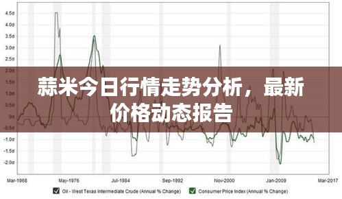 蒜米今日行情走势分析，最新价格动态报告