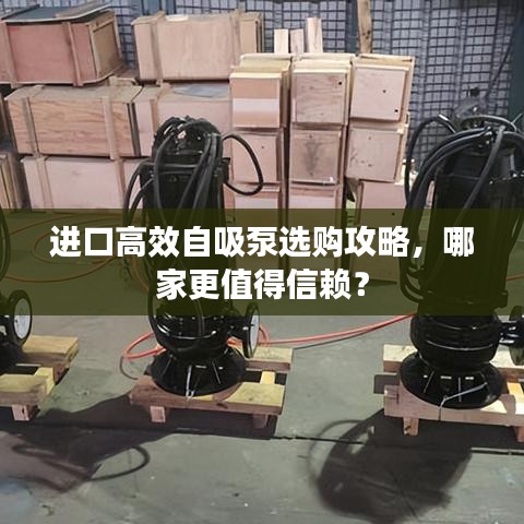 进口高效自吸泵选购攻略，哪家更值得信赖？