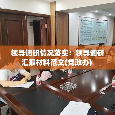 领导调研情况落实：领导调研汇报材料范文(党政办) 