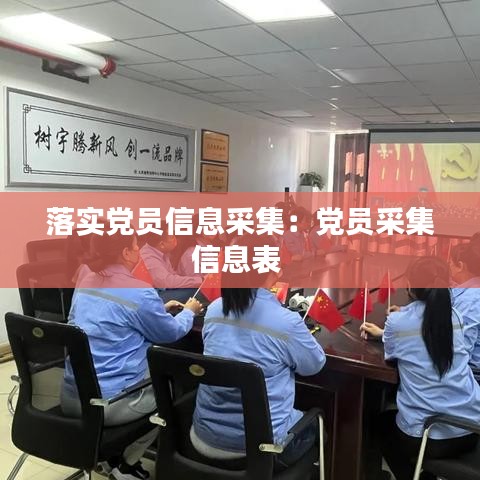 落实党员信息采集：党员采集信息表 