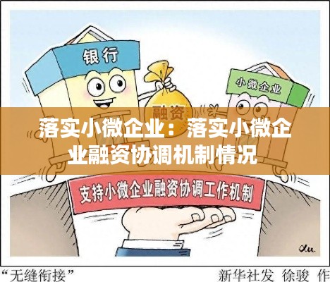 落实小微企业：落实小微企业融资协调机制情况 