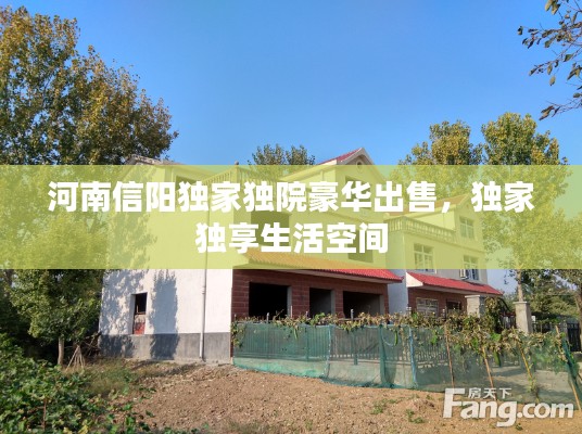 河南信阳独家独院豪华出售，独家独享生活空间