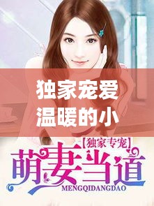 独家宠爱温暖的小说：独家宠爱小说全集免费阅读 