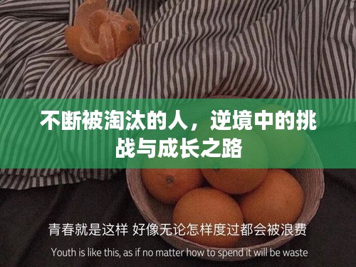 不断被淘汰的人，逆境中的挑战与成长之路