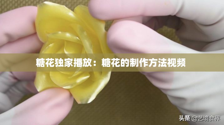 糖花独家播放：糖花的制作方法视频 