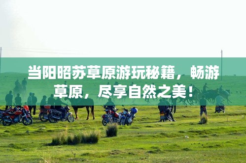 当阳昭苏草原游玩秘籍，畅游草原，尽享自然之美！