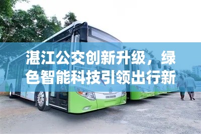 湛江公交创新升级，绿色智能科技引领出行新篇章