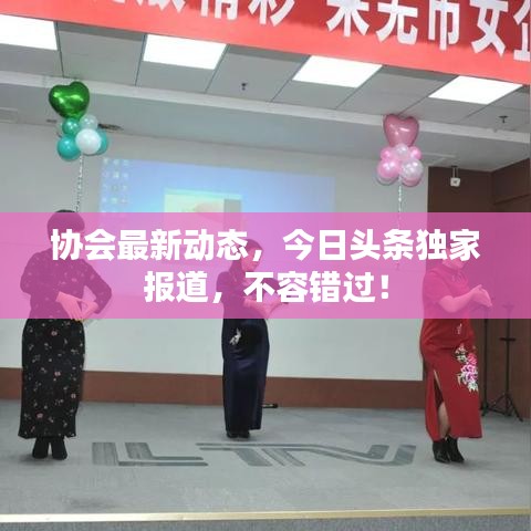 协会最新动态，今日头条独家报道，不容错过！