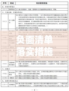负面清单落实措施：负面清单排查方案 
