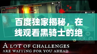 百度独家揭秘，在线观看黑骑士的绝佳体验！
