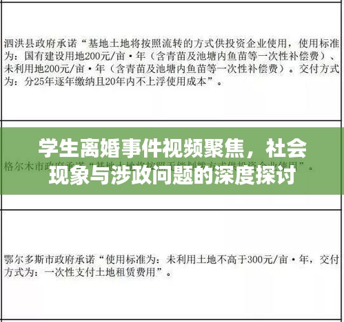 学生离婚事件视频聚焦，社会现象与涉政问题的深度探讨