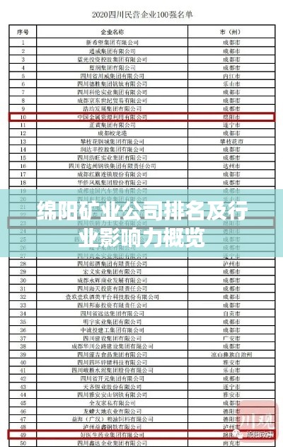 绵阳矿业公司排名及行业影响力概览