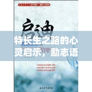 富贵功名 第3页