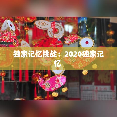 独家记忆挑战：2020独家记忆 