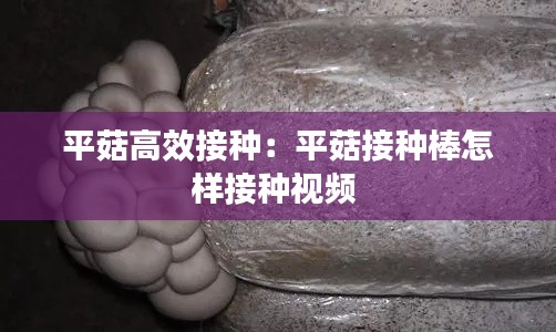 棒打出头鸟 第2页
