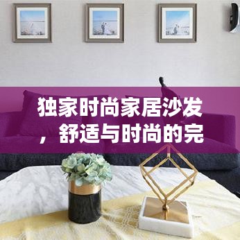 独家时尚家居沙发，舒适与时尚的完美融合