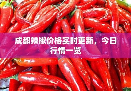 成都辣椒价格实时更新，今日行情一览