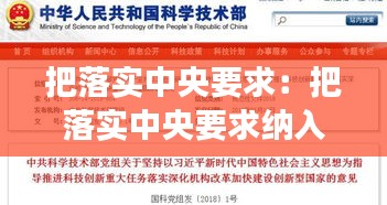 把落实中央要求：把落实中央要求纳入党组重大决策事项 