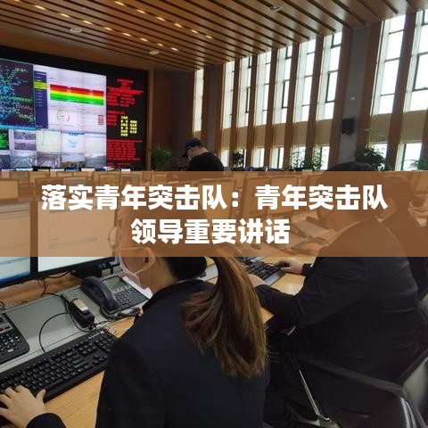 落实青年突击队：青年突击队领导重要讲话 
