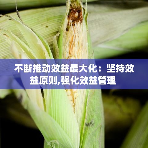 千载难逢 第2页