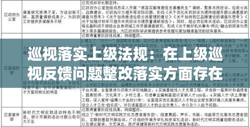 巡视落实上级法规：在上级巡视反馈问题整改落实方面存在的问题 