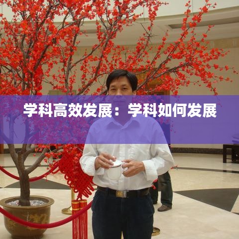 学科高效发展：学科如何发展 
