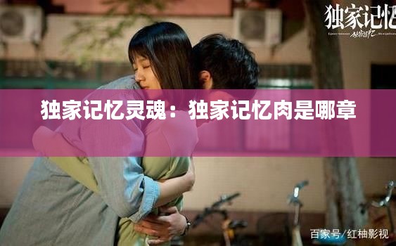 独家记忆灵魂：独家记忆肉是哪章 