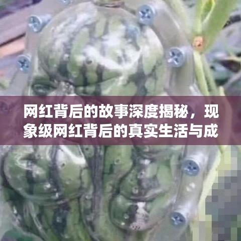 网红背后的故事深度揭秘，现象级网红背后的真实生活与成长之路